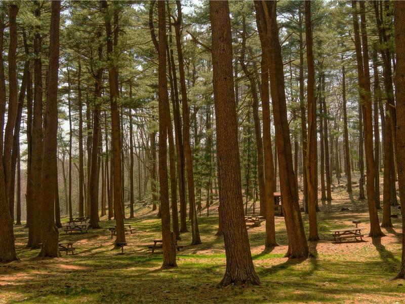 sudoku local leaderboard screenshot 2