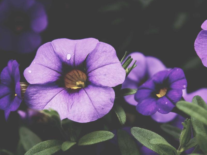 sudoku local leaderboard screenshot 1